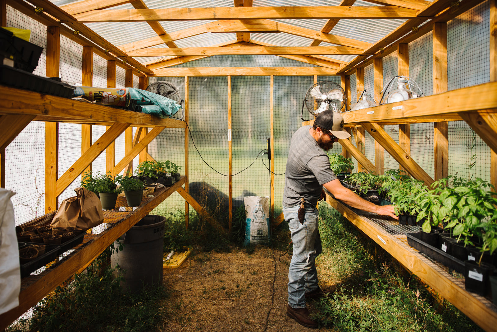 A Gardener in a green house checking up on herbs. 