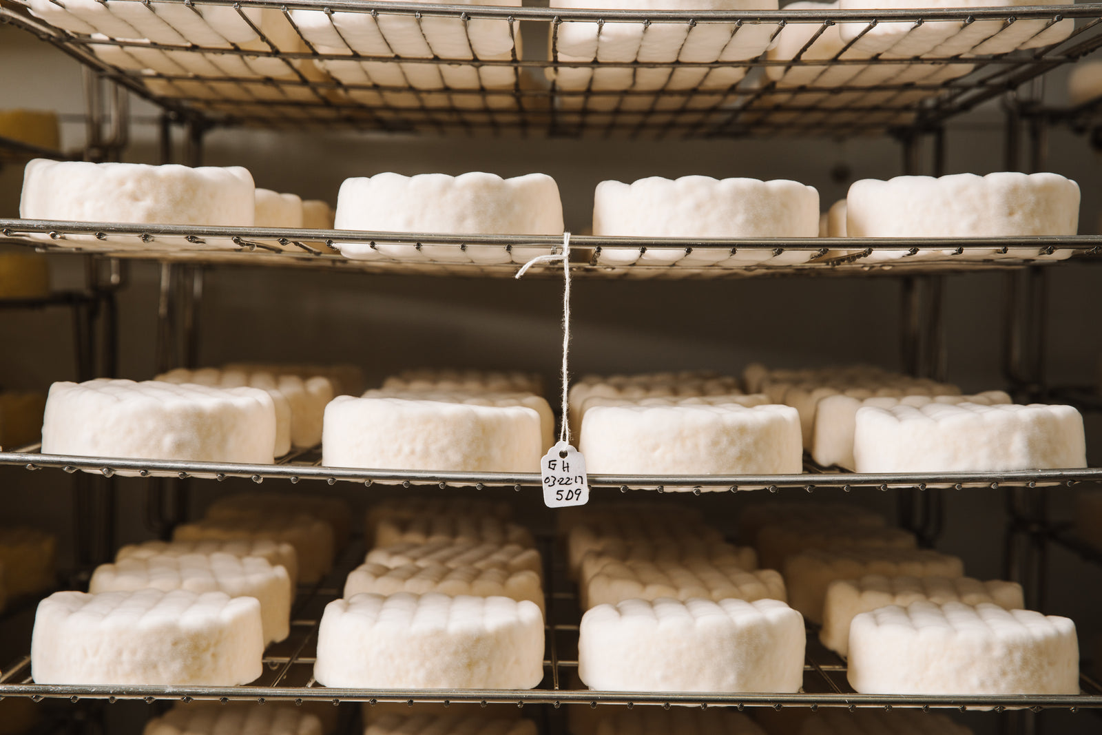 Cheese on the racks while they age. 