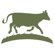 logo of Sweet Grass Dairy